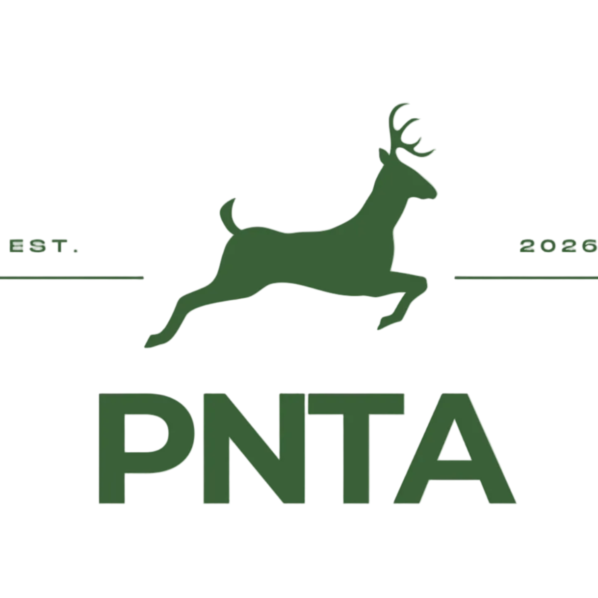 PNTA EGYPT